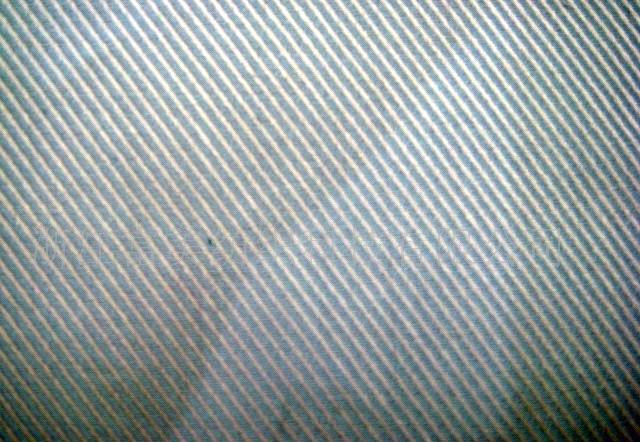 ���ޏ�����